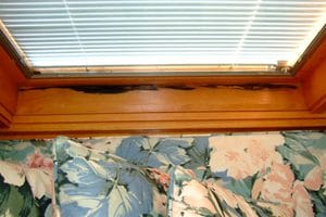 Window Sash Replacement Made Easy Possibly Free